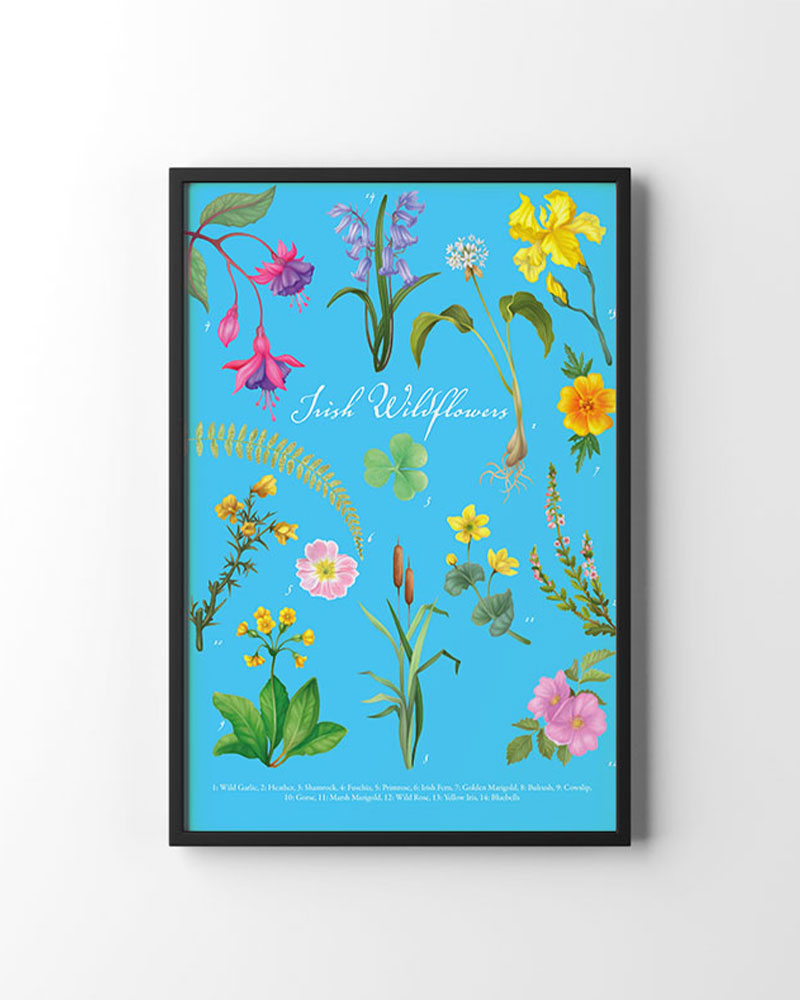 poster of irish wild flowers